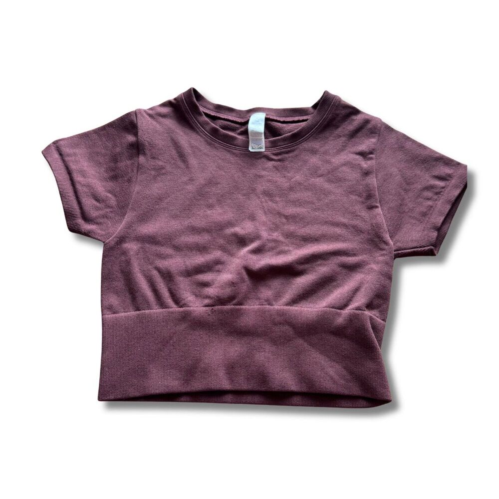 Offline by Aerie Seamless Short‑Sleeve Crop Top - Cranberry, XS
